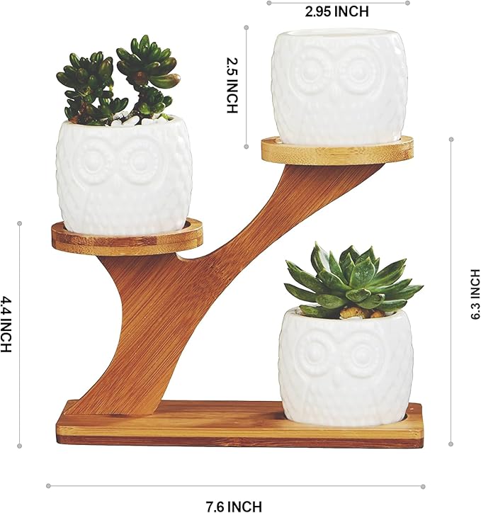 FLOWERPLUS Planter Pots Indoor, 3 Pack 3 Inch White Ceramic Decorative Small Owl Succulent Cactus Flower Plant Pot with Tree Tier Bamboo Stand for Garden Kitchen Home Office Desk Decorations