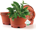 5 Pack 8.5 inch Plant Pot,Outdoor Flower Pots,Plastic pots for Plants Indoor with Drainage Holes and Trays, Decorative Garden Containers Sets for Houseplants