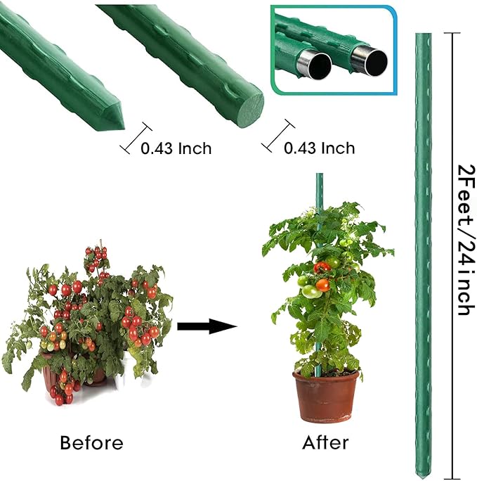 2Feet 24inch Garden Stakes Sturdy Plant Sticks Support Tomato Stakes for Vegetable,Pack of 20