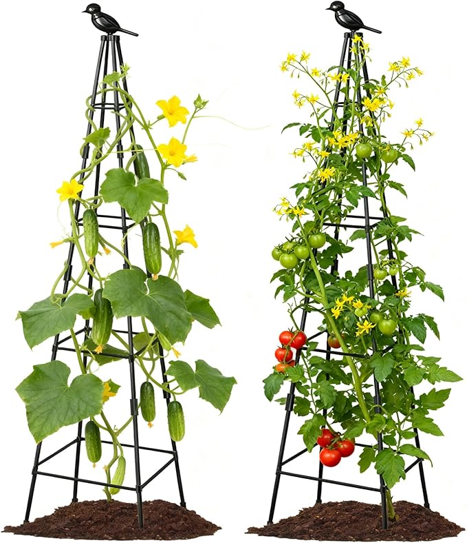 2 Pack Garden Trellis for Climbing Plants Outdoors, 70inch Tower Obelisk Trellis for Potted Climbing Plants, Plant Support for Potted Flowers, Roses, Tomatoes, Cucumbers & Vegetables