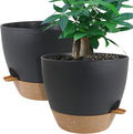 12inch 2Pack Large Self Watering Planters, Plastic Plant Pots with 60oZ Removable Deep Reservoir and Multi Mesh Drainage Holes for Indoor Outdoor Garden Plants and Flowers, Black with Brown
