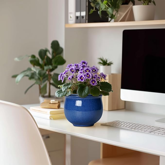 6 Inch Self Watering Pots, Ceramic African Violet Planter with Absorbent Inner Pot, Round Flower Pot for Indoor Plants, Ceramic Pots for Plants, Room Home Decor, Plant Lover Gifts, Blue