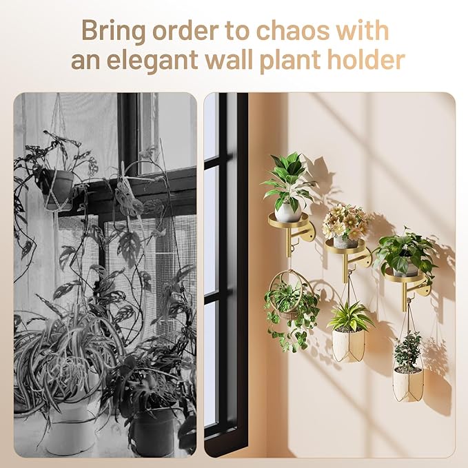 YUOROS 3 Pack Wall Plant Holder Stand Wall Planters for Indoor Plants Hanging Window Plant Hanger Decor (Gold)