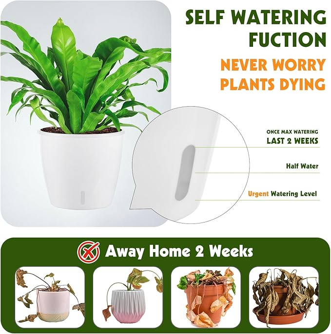 Self-Watering Pots for Indoor Plants, 8-Pack Self Watering Planter with Drainage Holes, Small African Violet Pots with Water Indicator, 5 Packs 5''/3 Pack 6.7'' Orchid Pot, White