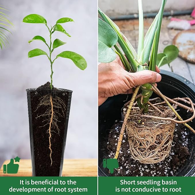 20 Pcs Plastic Deep Nursery Pots - 9.8" Tall Tree Pots, Indoor/Outdoor Use with 3 Pcs Garden Tools