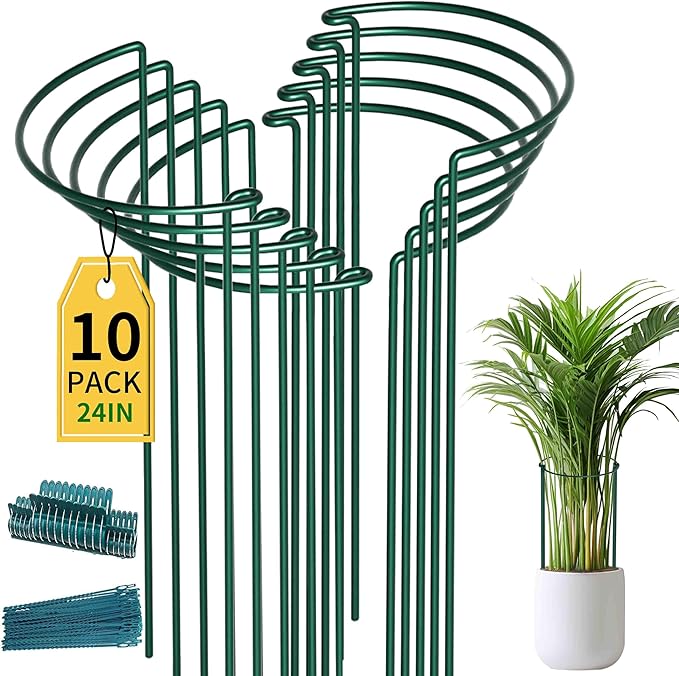 TCBWFY 10 Pack Plant Support Stakes for Peony,10"Widex24"High Heavy Duty 4.5mm Peony Cages and Support,Metal Peony Supports for Outdoor Indoor Plants,Plant Supports for Peony