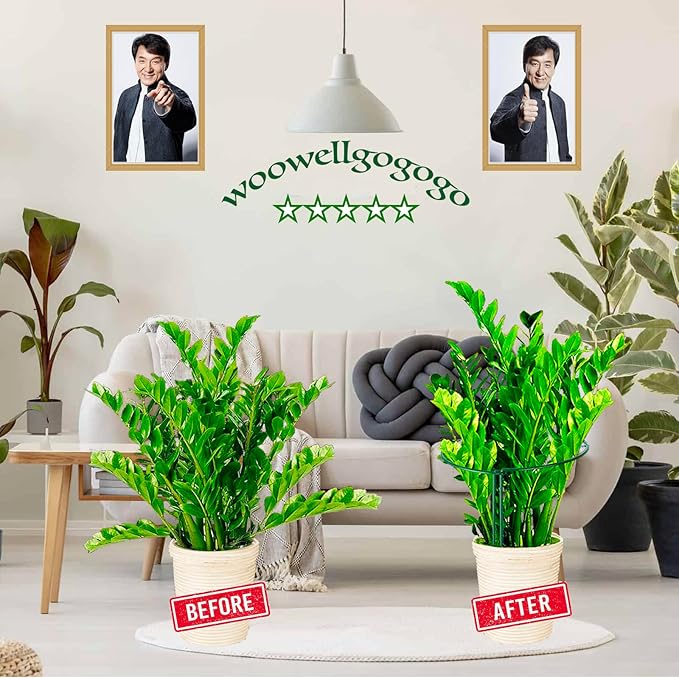 4 Pack Snake Plant Support Stakes, Peony Cages and Supports, Heavy-Duty Hoseplant Support, Hydrangea Support Cage, Aloe Plant Support Ring, Plant Support Stake for Indoor and Outdoor Potted Plants