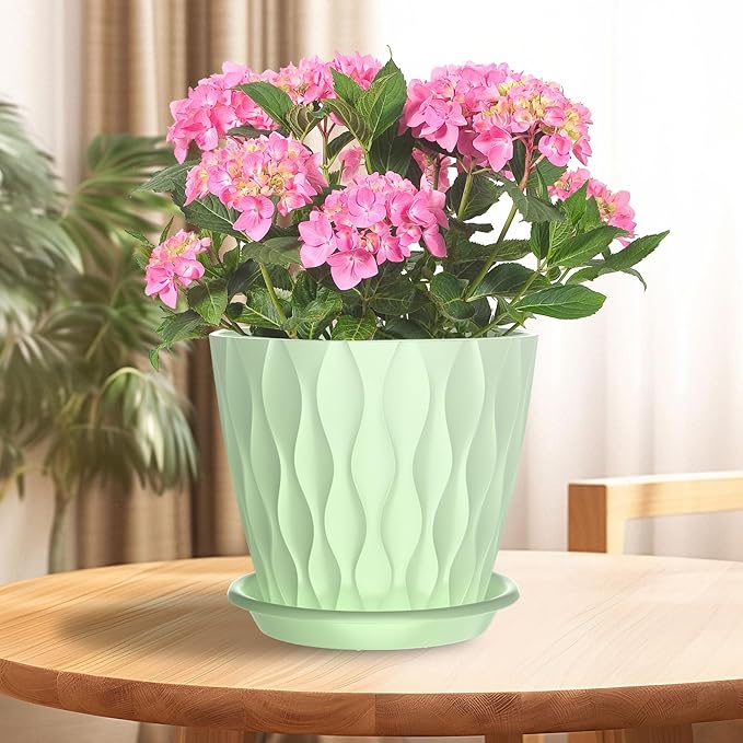 6 Pack 6 Inch Indoor Plant Pots with Drainage Holes, Outdoor Plastic Decorative Flower Pots, Garden Planters with Tray Saucers for Orchids, Violets, Succulents, Herbs, and Other Plants