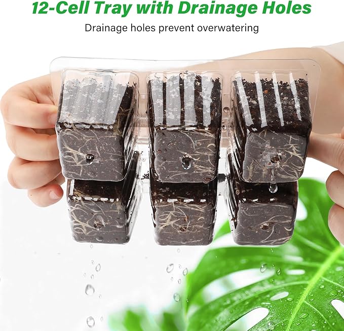 Bonviee 10 Packs Seed Starter Tray with Drainage Holes, Reusable & Durable, Clear for Root Monitoring, Easy to Repotted Without Root Damage, 6 Cells per Tray