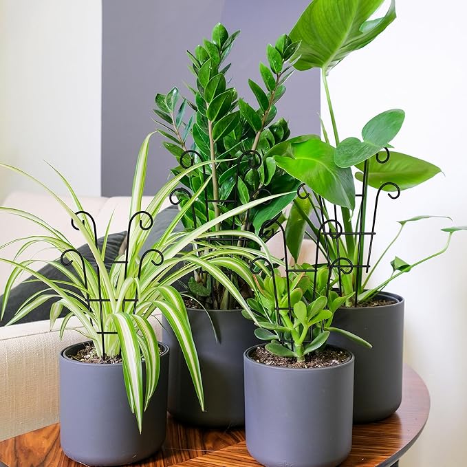 Coomin Small Plant Trellis for Climbing Plants Indoor, 14.5in Metal House Plant Trellis for Potted Plants, Mini Plant Support for Hoya Pothos, Black