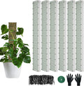60"/40"/24" Metal Moss Pole, D Shape Sphagnum Moss Pole, Moss Poles for Climbing Plants, Monstera, Indoor Climbing Plants (6Pcs 40")