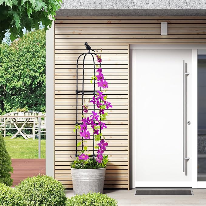 Lalahoni Garden Obelisk Trellis for Climbing Plants Outdoor, 6ft Round Rose Trellis for Pots, Metal Plant Support for Clematis, Jasmine, Ivy, Decorative Outdoor Trellis, Black, 1Pack
