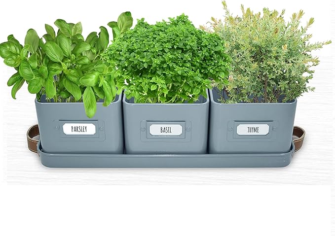 volila Herb Planter Indoor - Set of 3 Teal Blue Indoor Herb Garden Pots for Plants with Leather Handled Tray - Window Sill Plant Shelf - Herb Pots with Drainage Holes and Labels