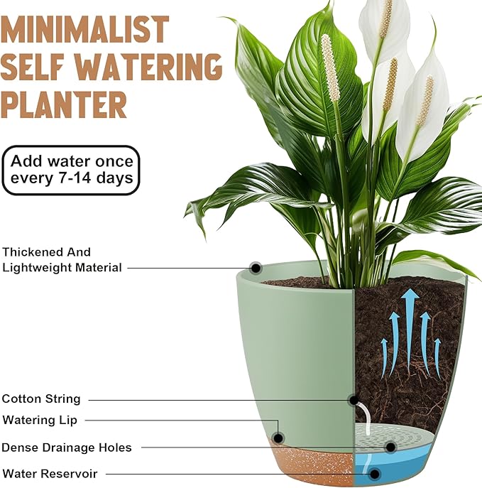 Plant Pots 8/7/6.5/6/5.5/5 Inch Self Watering Pots, Set of 6 Plastic Planters with Drainage Holes and Saucers,Plastic Flower Pots,Nursery Planting Pot for Indoor Out Door Plants（Green）