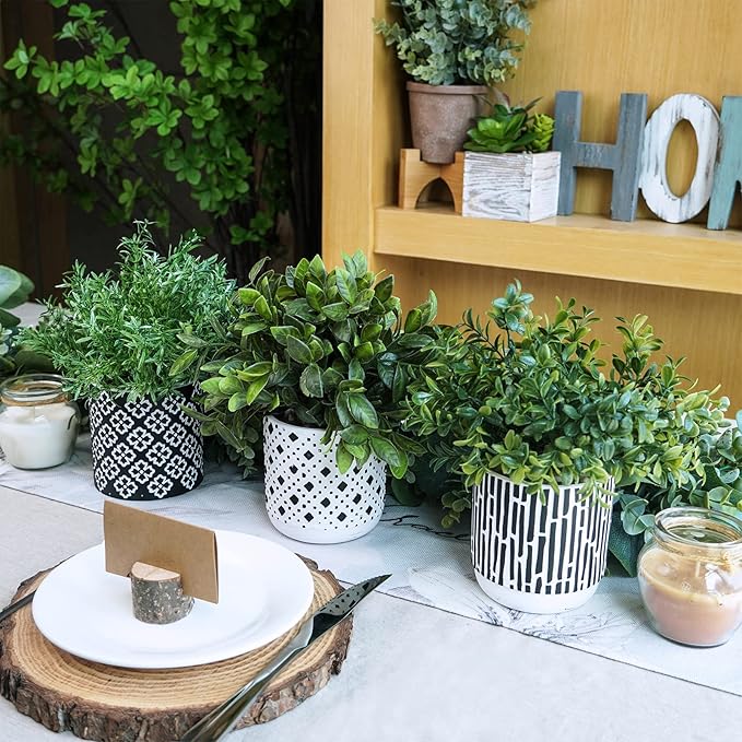 Winlyn 3-Pack Artificial Potted Plants - Faux Eucalyptus, Rosemary, Boxwood Greenery in Small Black & White Geometric Concrete Pots -Desk, Table, Shelf, Windowsill Decor for Indoor Outdoor Home Office