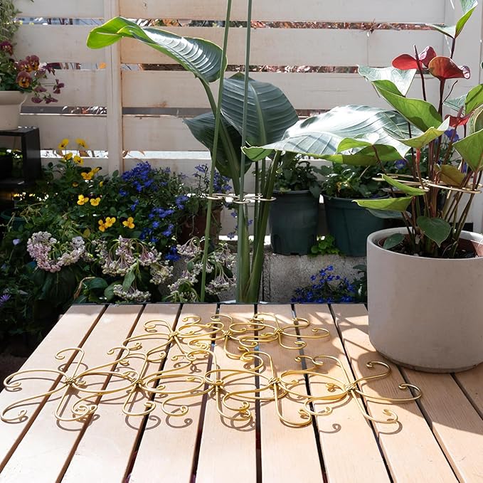 Durable Monstera Plant Support Hooks 5.5in - 5-Piece Set for Indoor Plant Stabilization, Easy-to-Use Grapple Holders for Monstera and Turtle Shell Plants for Plant Lovers