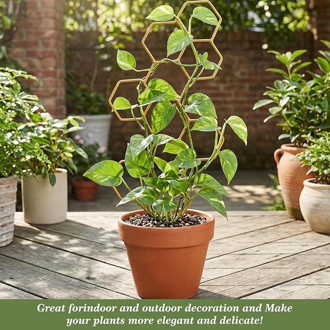 Small Trellis for Potted Plants, 14 Inch Indoor Trellis for Climbing Plants Honeycomb Shape Metal Plant Trellis for Pots Plant Climbing Support for Flower Hoya Pothos Houseplants