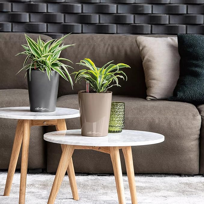Lechuza DELTINI Shiny Taupe High Gloss, Self-Watering Small Indoor Planter, H7.5 L5.9 W5.9 in