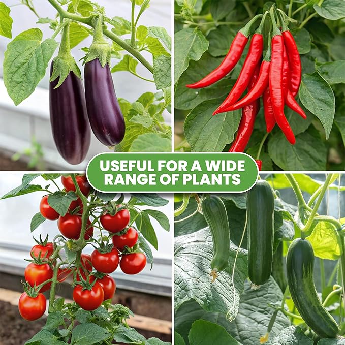 Tomato Cage Square - Large Trellis Stakes and Plant Support Structures for Vegetables and Climbing Plants - Tall Tomato Cages for Garden, Pots, Raised Garden Bed Outdoor Supplies (1 Pack - Up to 41")