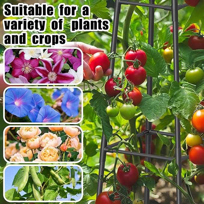 6FT Obelisk Trellis for Climbing Plants Outdoor, 16mm Rust-Proof Extra Thickened Plastic-Coated Metal Pipes, Indoor Climbing Support for Potted Plants, Vines, Flowers Stands,Black