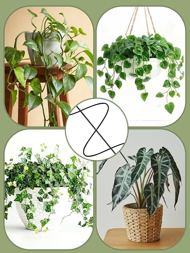 4 Pack Small Wavy Trellis for Potted Plants Indoor, 15 in Garden Trellis for Climbing Plants Outdoor, Single Stick Metal Climber Support Stakes for Vine Ivy Hoya Flower (Black)