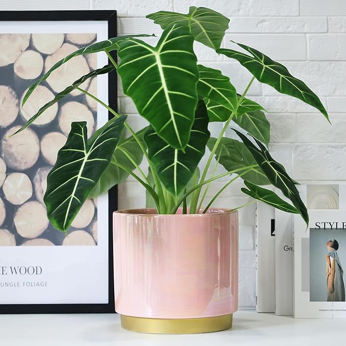 Gepege Pink Indoor Plant Pots for Plants, Large Ceramic Planter with Drainage Hole, 9.6-inch Succulent Orchid Flower Pot - Rainbow Pearl Glaze
