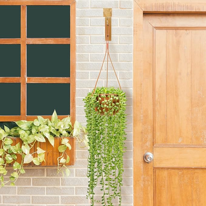 Macrame Plant Hanger, Hanging Wall Planters for Indoor Plants, Wooden Hanging Basket Hooks for Outdoor Pots Wind Chime Flower Bracket Lanterns Patio Garden Decoration (2-Pack,5-Inch)