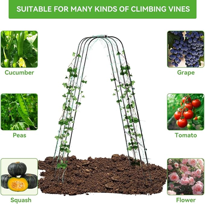 Lalahoni Cucumber Trellis, 65" X 65" Metal Garden Arch Trellis Climbing Plant Outdoor Support for Vine Fruits Flowers Vegetables Peas Beans Squash Cucumber Tomato Raised Bed, with Netting, Lightweight