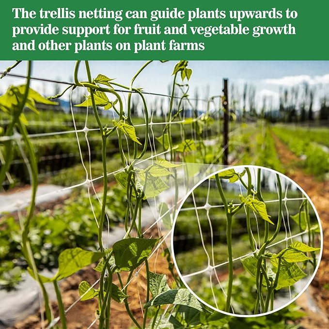 Sukh Garden Plant Trellis Netting -Trellis Net Polyester Trellis Netting Garden Square Mesh for Climbing Plants Fruits Vegetables VinesGrow Tents (4)