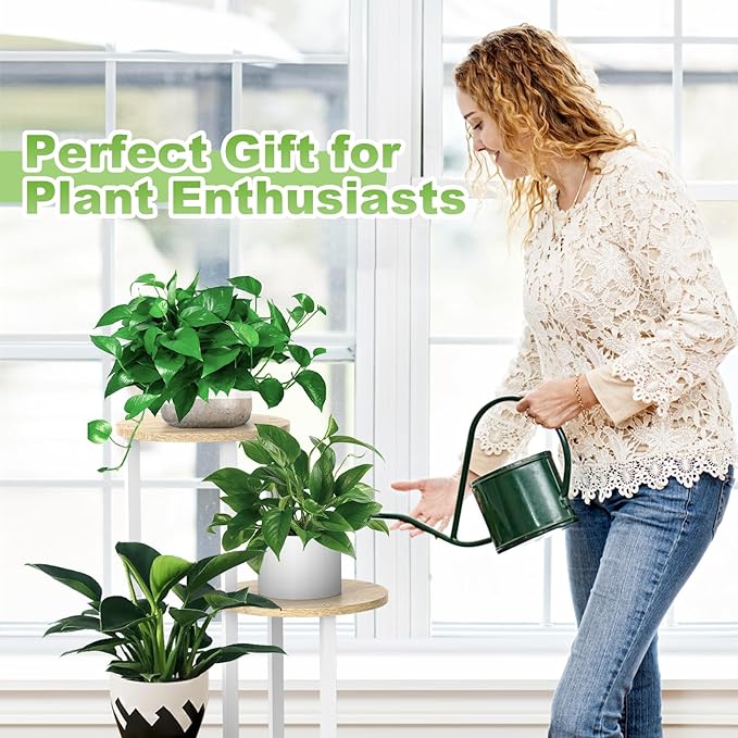 Plant Stand Indoor, 4 Tier Thickened Metal Corner Plant Shelf for Multiple Plants, Indoor Plants Tiered Flower Pot Stand for Patio Garden Balcony Living Room Bedroom (White Oak)