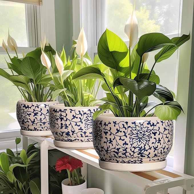 SQOWL 10 Inch Plant Pot Indoor - Ceramic Planter with Drainage Hole and Tray, Large Ceramic Flower Pots Outdoor, Porcelain Decorative Round Planter, Room Decor, Gifts for Plant Lovers, Blue and Beige