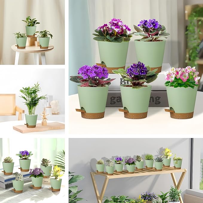 5 Pack 5 inch Self-Watering Pots, African Violets Planter with Drainage Holes and Reservoir, Green Brown Plastic Planter for Indoor Outdoor Plants Flowers and Houseplants Green Brown, 5 inch 5 pcs