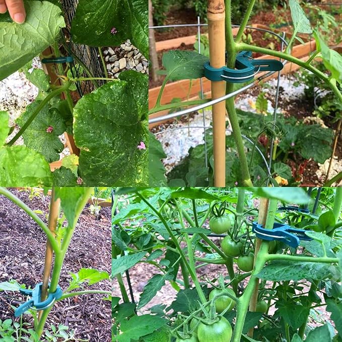 40 Pcs Plant Support Clips,Flower and Vine,Garden Tomato Plant Support Clips for Supporting Stems,Vines Grow Upright Climbing,Tool for Straightening,Tomato Cage,Trellis. 2 Sizes in one Pack