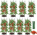 8PCS Tomato Cages for Garden, Tomato Trellis for Raised Garden Bed, 51.2" Tall Cage Plant Support for Pots, Gardening Supplies Trellis for Climbing Plants (8PCS，High: 51.2 Inch)