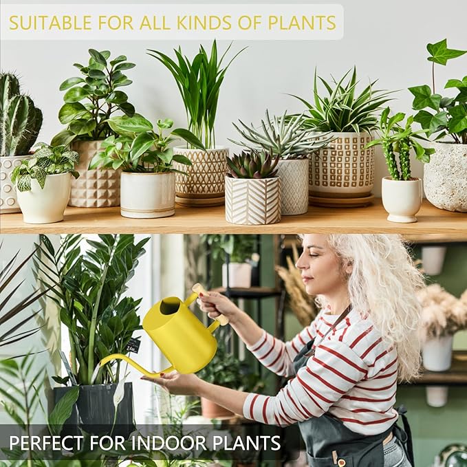 Watering Can Indoor Plants, 35oz Small Stainless Steel Metal Watering Can Modern Decorative Watering Pot with Long Spout for Indoor House Plant Bonsai Garden Flowers (Yellow)