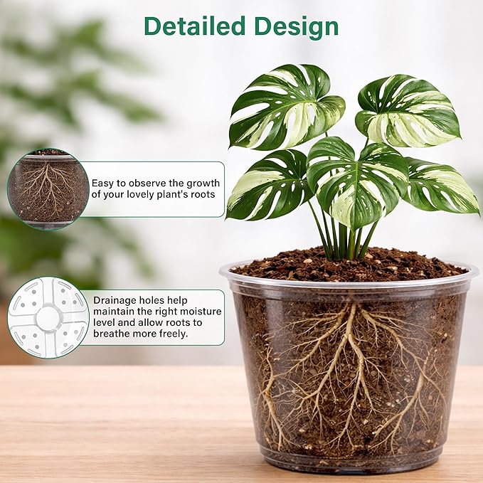 20 Pack 8/6/5/4/3.5 Inch Reinforced Large Clear Nursery Pots with Drainage Hole, Transparent Variety Pack Plastic Plant Pot for Vegetable Propagation, Root Cutting, Seed Starting