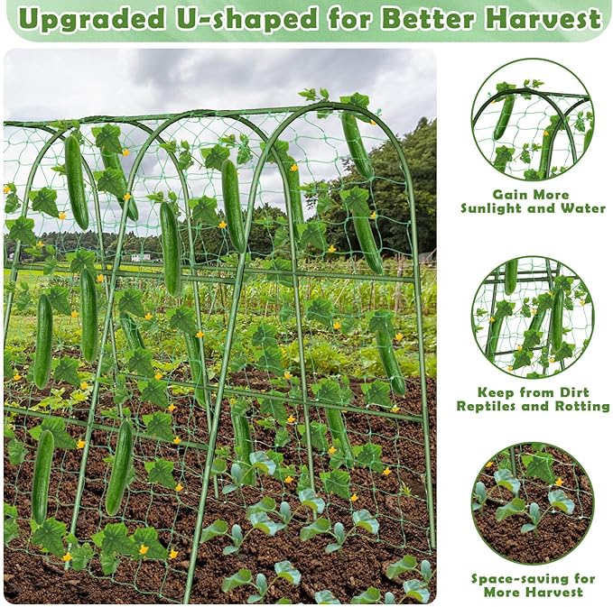 Cucumber Trellis for Raised Bed, Garden Arch Trellis for Climbing Plants Outdoor, Metal Garden Trellis for Spring Vegetables, Cucumber Trellis for Tomato, Bean, Pea, Grape, Plant