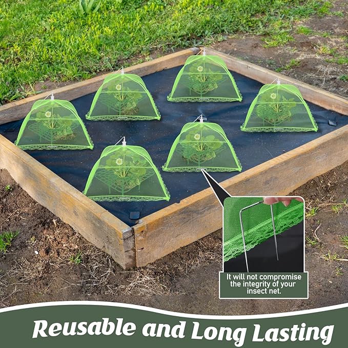 4 Sets Strawberry Plant Support with Mesh Plant Cover,Strawberry Growing Racks Sets with Iron Plant Nails and Storage Bag for Garden Strawberry Vegetables(Green Net - Square)