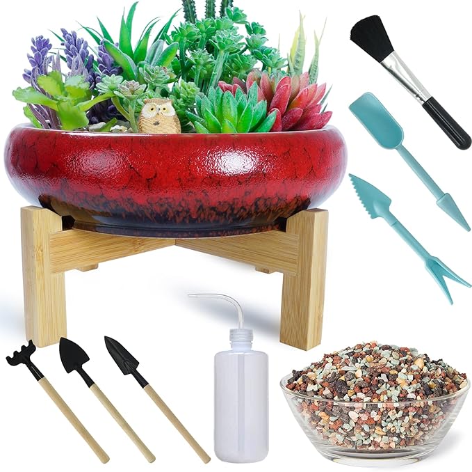 Large Succulent Pots with Drainage & Stand, 10 inch Ceramic Succulent Planter for indoor Plants plus Decorative Rock Stone Pebbles 2.2lb & Garden Tools Set, Perfect for Bonsai, Cactus Beginner