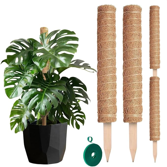 Moss Pole 26.4" Small Monstera Plant Support 2 Pcs Set - Pothos Plant Climber Support with Connectable Design and Fixation Strip - Coconut Fiber Moss Poles for Monstera, Money Plants, Philodendron