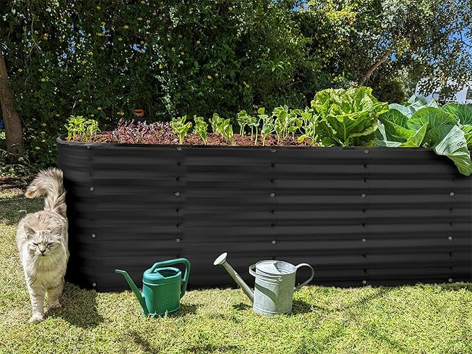 Plant & Plot Galvanized Raised Garden Beds Outdoor // 6×2×2 ft Planter Raised Beds for Gardening, Vegetables, Flowers // Large Metal Garden Box (Black) // Patented Tool-Free Design