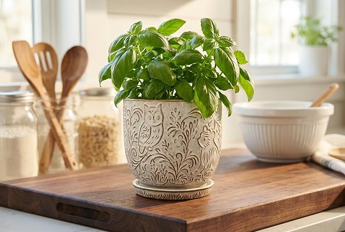 Decorative Ceramic Planter Pot with Saucer, Brown with Gold and Silver Owl Pattern, Indoor Garden Container with Drainage (White, 6 inch)