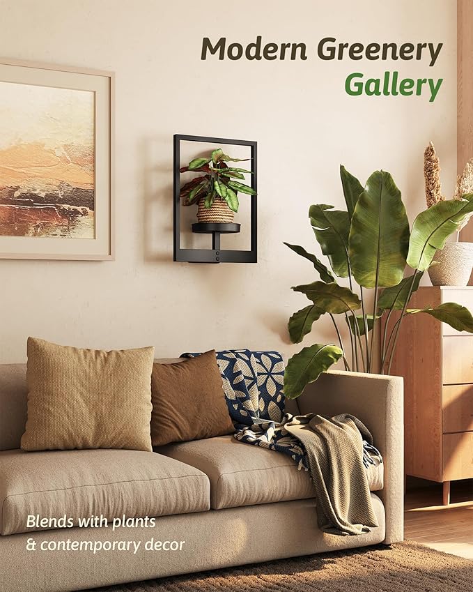 Wall Plant Holder Wall Planters for Indoor Plants Plant Wall Shelf Plant Hanger Indoor Hanging Plant Holder Plant Wall Hanger for Living Room Window Balcony