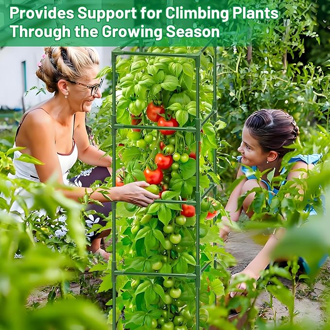 Legigo 4 Pack Square Tomato Cages for Garden- Up to 60 Inch Tomato Plant Support Stakes Cage, Heavy Duty Steel Tomato Trellis Garden Stakes for Raised Garden Bed Climbing Vegetables Cucumbers Flowers