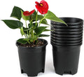 5.5 Inch Gardening Flower Pots 10-Pack Black Pot Liners 0.5 Gallon Nursery Pot Plastic Planters for Outdoor Indoor Plants with Drainage Holes