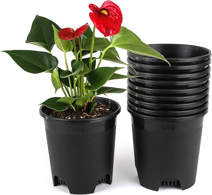 5.5 Inch Gardening Flower Pots 10-Pack Black Pot Liners 0.5 Gallon Nursery Pot Plastic Planters for Outdoor Indoor Plants with Drainage Holes