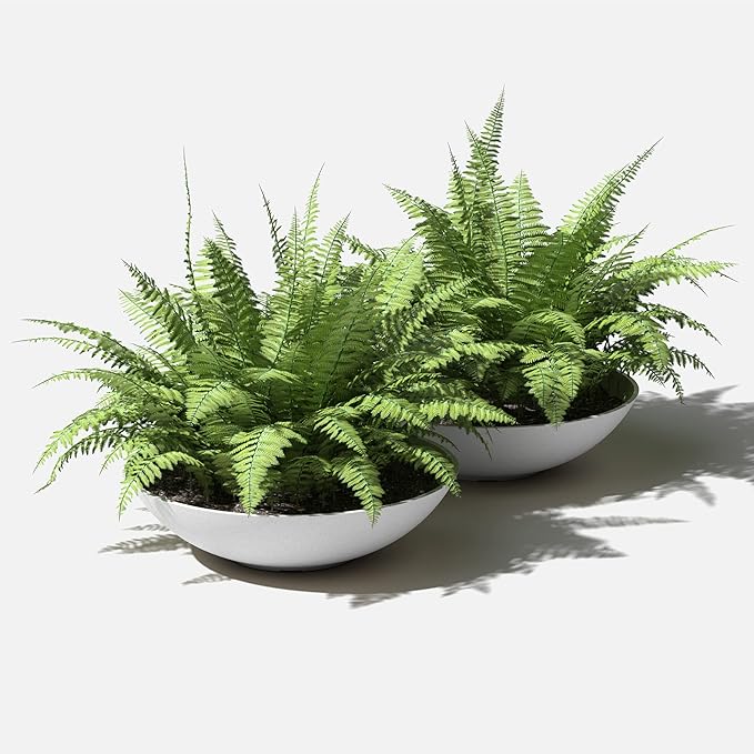 Veradek Mason Series Lane Bowl Planter| for Indoor or Outdoor Tabletops/Gardens |Made from Plastic-Stone Composite with Drainage Holes|Modern Décor for Flowers, Succulents, Small Plants