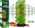 Legigo 6 Pack Square Tomato Cages for Garden- Up to 60 Inch Tomato Plant Support Stakes Cage, Heavy Duty Steel Tomato Trellis Garden Stakes for Raised Garden Bed Climbing Vegetables Cucumbers Flowers