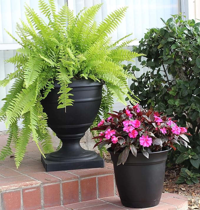 The HC Companies Eclipse Round Planter with Saucer - Outdoor & Indoor Plant Pot with Drainage Holes - Lightweight, UV-Resistant Plastic Pots for Plants, Flowers & Herbs (6" Black, Pack of 1)