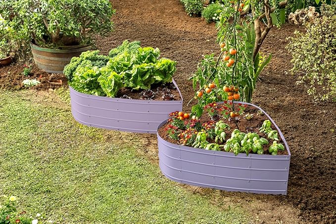 Plant & Plot Galvanized Raised Garden Beds Outdoor // Planter Raised Beds for Gardening, Vegetables, Flowers // Large Metal Garden Box (Lavender) // Tool-Free Assembly